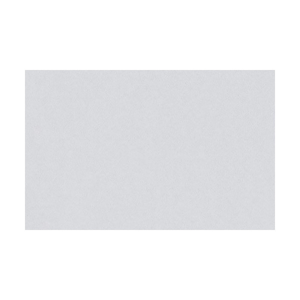 DECORAMA - 1003872 - Variovlies F170 PRO