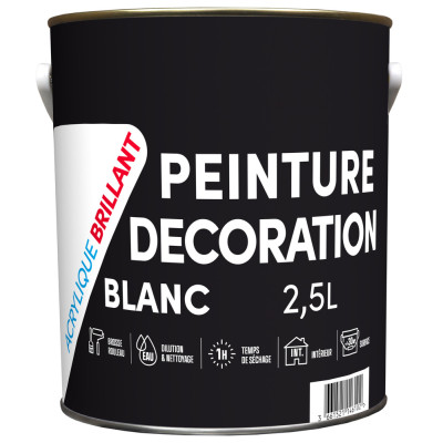 TOUT DANS LE PRIX - Peinture Décoration Acrylique Brillant Blanc