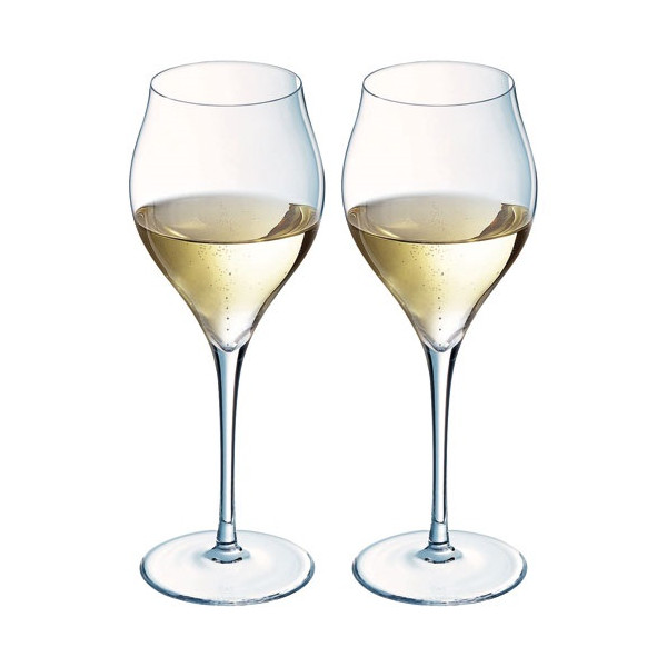 Coffret 2 flûtes 30 cl - Exaltation