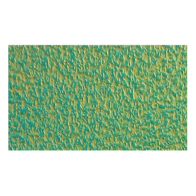 Lecologique 1mx25ml 51005