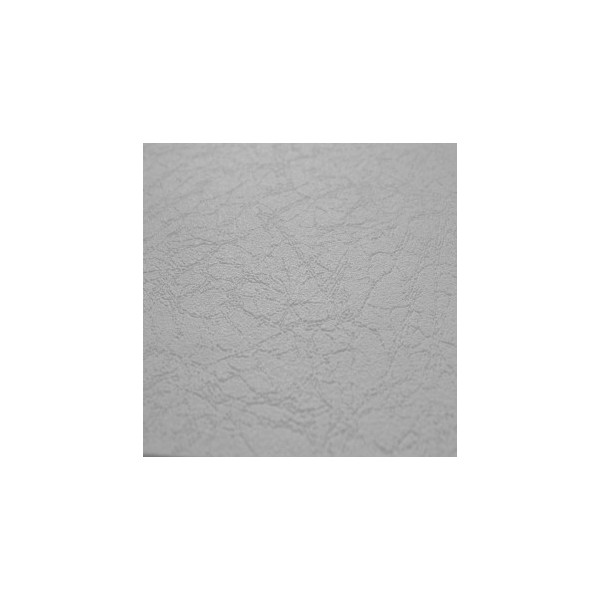 DECORAMA - 9855 - Patent Décor 10.05x0.53m