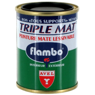 TRIPLE MAT PEINT.FLAMBO 100ML NOIR (Vendu par 1)