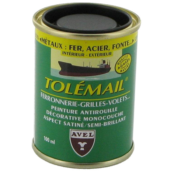 TOLEMAIL - Tolémail Spécial Ferronnerie 100ml Blanc