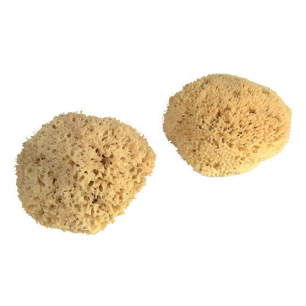 PAD - Eponges Naturelles Brute Sous Film