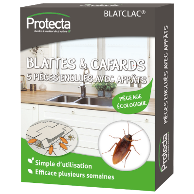 Blattes et Cafards 5 Pièges Ecologiques Englués avec Appâts