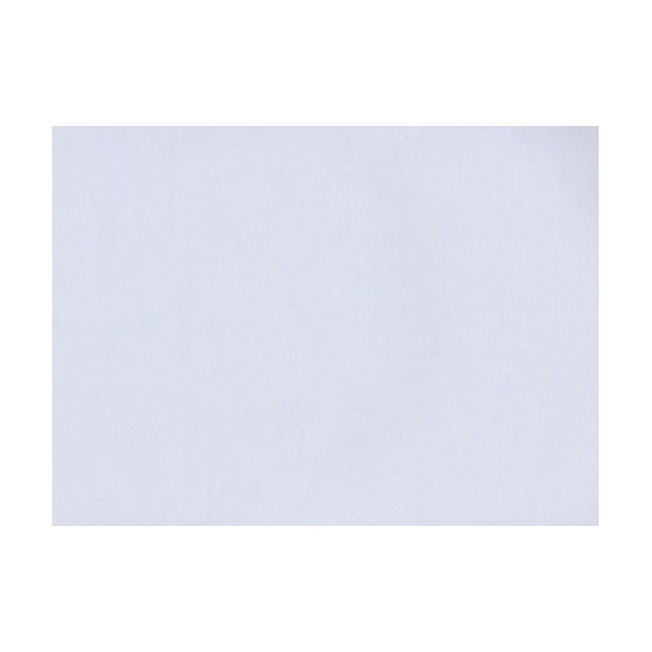 ACCESS DECO - 21022 Adhésif Classic Fresne Blanc 45cmx1.5m