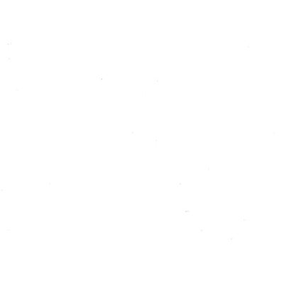 21030 Adhésif Classic Blanc 45cmx1,5ml