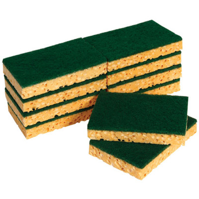 Lot de 10 tampons sur éponge