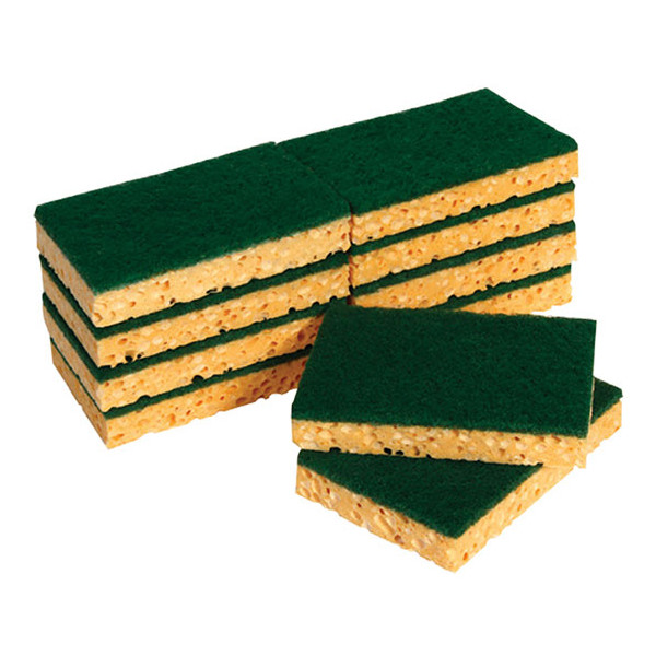 PAD - Tampon Récurant sur Éponge GM Lot de 10 Sous Film