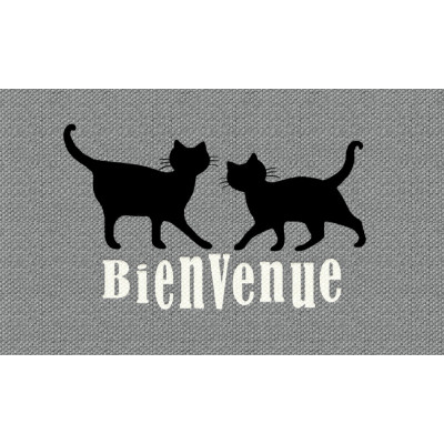 Tapis Patio Bienvenue Chat 50x80cm