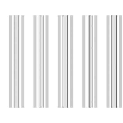 21050 ADH CLASSIC RAYURES 1,5MX45CM