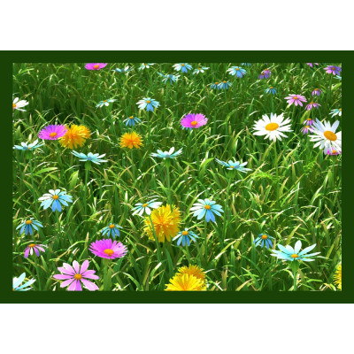Tapis Création Grassfiel Green 50x80cm
