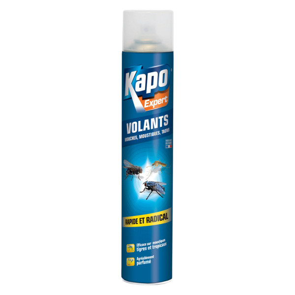 KAPO - Aérosol Insectes Volants 750ml