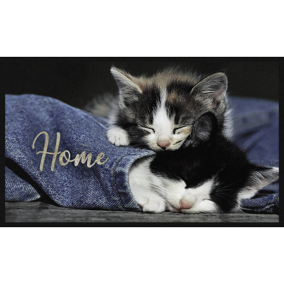 Tapis Velvet Chaton Welcom 45x75cm sur cintre