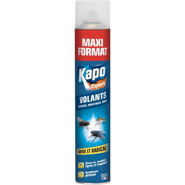 KAPO - Aérosol Insectes Volants 500ml