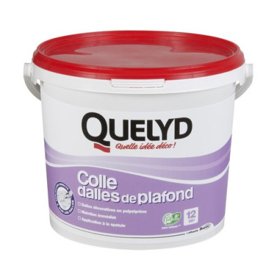 QUELYD COLLE DALLE PLAFOND 4KG