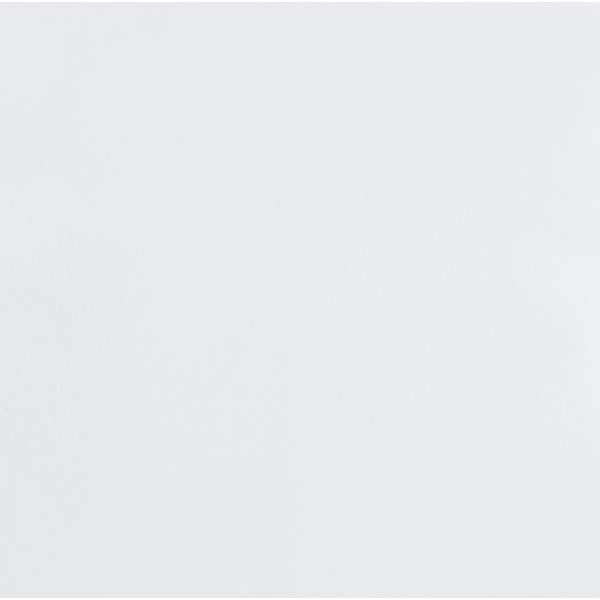 LECO WERKE - Leco-Reno Plus Prépeint 63700 1mx25m