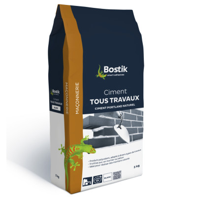 CIMENT BLANC TOUS TRAVAUX 5KG BOSTIK (Vendu par 4)