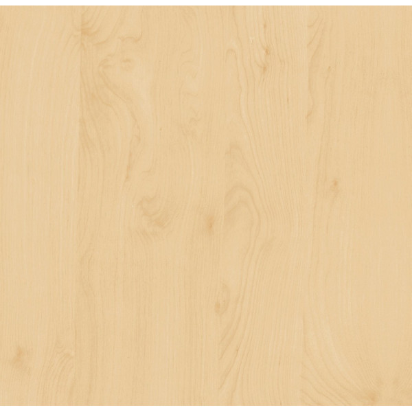 DC-FIX - Adhésif Décoratif Aspect Bois Bouleau 67.5cmx2m