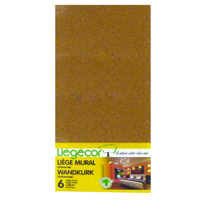 Liège tableau lot x 6 Dalles 60x30