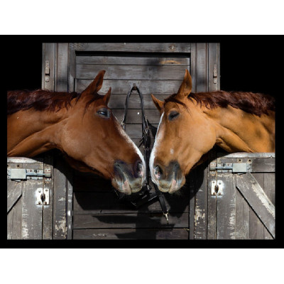 Tapis Velvet Deux Cheveaux 45x75cm