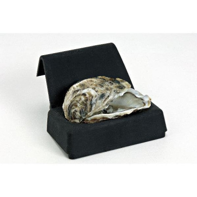 CALE HUITRE SEUL NOIR