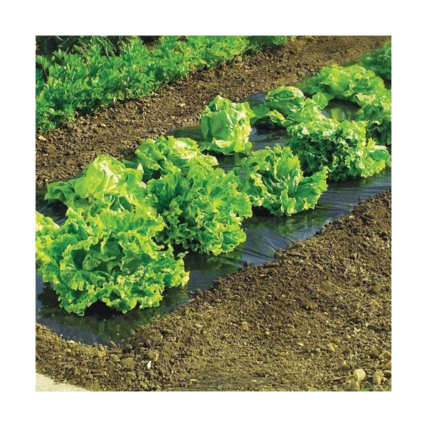 NORTENE - Film paillage Terrafilm 5mx140