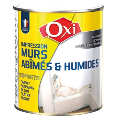 PEINTURE MUR HUMIDE 2.5L