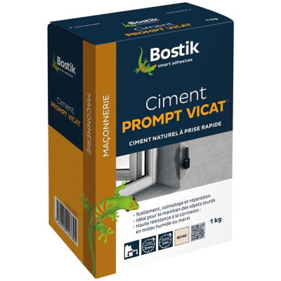 CIMENT PROMPT 1KG VICAT BOSTIK (Vendu par 1)
