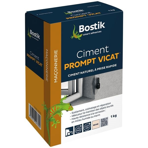 BOSTIK - Ciment prompt Vicat 1kg