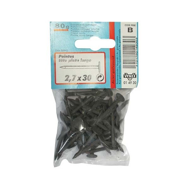 VYNEX - Pointe TP large galvanisé 2.7x30  80g