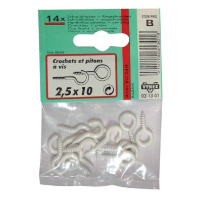 CROCHET+PITON RILSANISE 2.5X10 SC CP:2 (Vendu par 1)