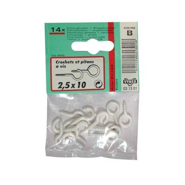 VYNEX - Crochet+piton rilsanisé 2.5x10 sc