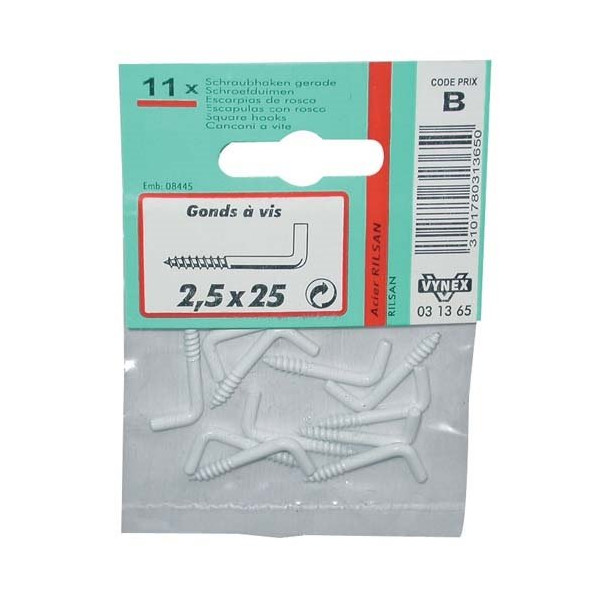 VYNEX - Gond à vis rilsanisé blanc 2.5x25 sc