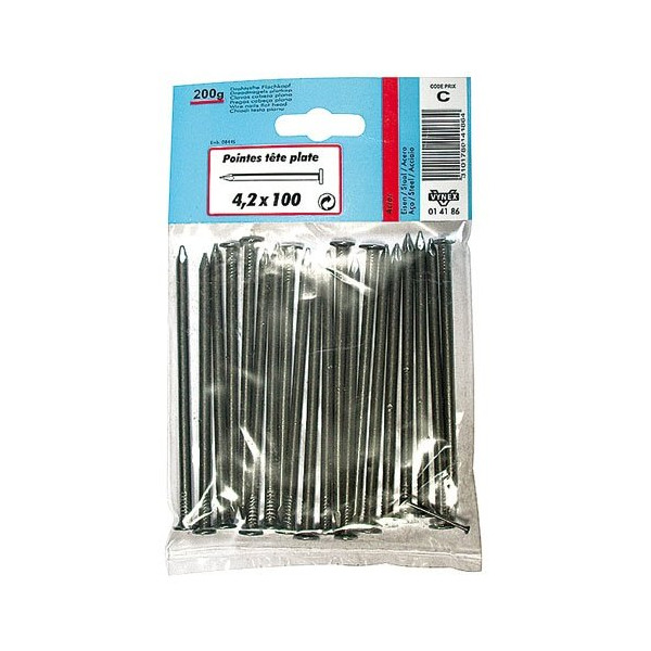 VYNEX - Pointe TP acier 4.2x100  200G