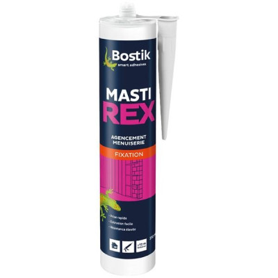 MASTIC FIXATION MASTIREX 310ML PRO (Vendu par 1)