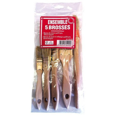 LOT DE 5 BROSSES PRO NORME FSC (Vendu par 1)