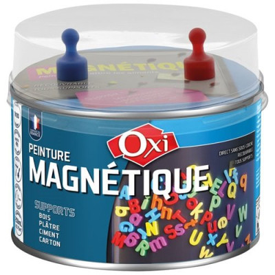 PEINTURE A AIMANT 250 ML COULEUR GRIS (Vendu par 1)