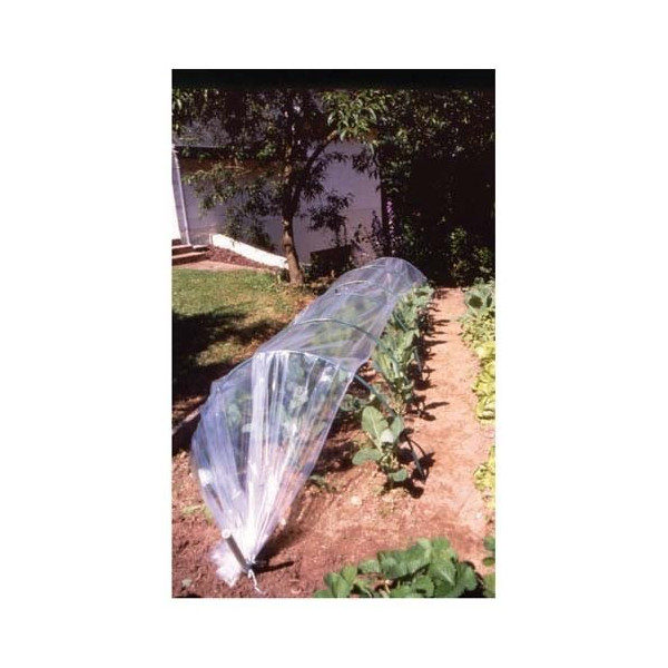 NORTENE - Film forcage standard 5mx2m