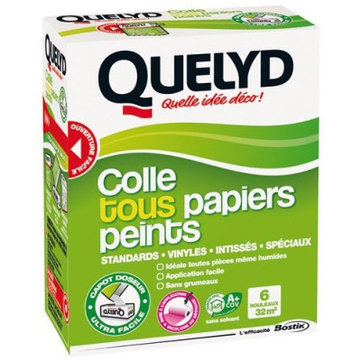 QUELYD COLLE TOUS PAPIERS PEINTS 300G (Vendu par 1)