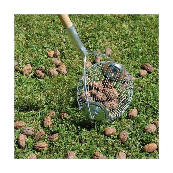 LUCIFER - Boule ramasse noix