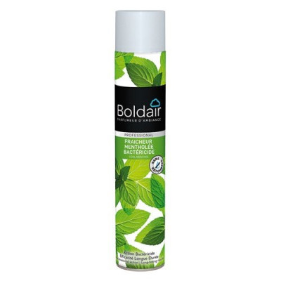 BOLDAIR FRAICHEUR MENTHOLEE BACTERICID (Vendu par 1)