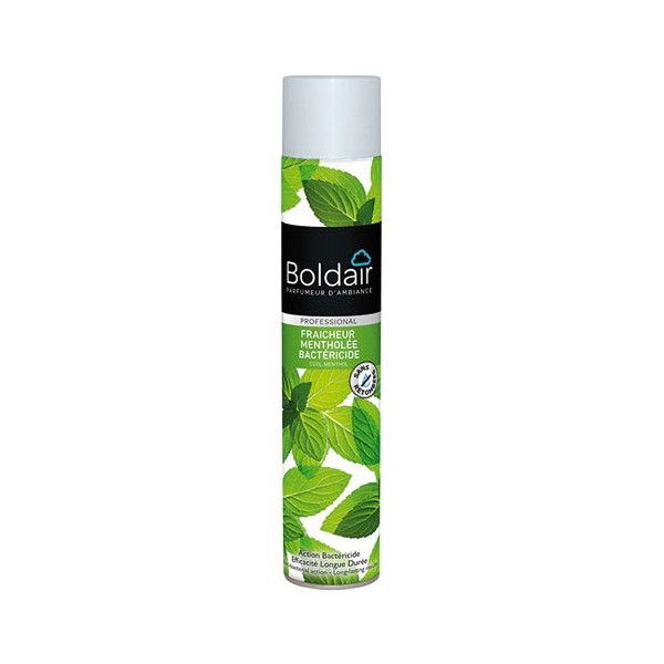 BOLDAIR - Boldair fraîcheur mentholée bactéricide 500ml