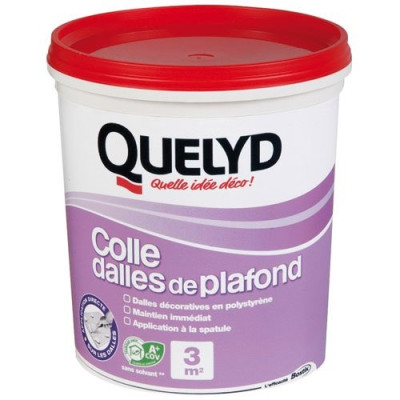 QUELYD COLLE DALLE PLAFOND 1KG (Vendu par 1)