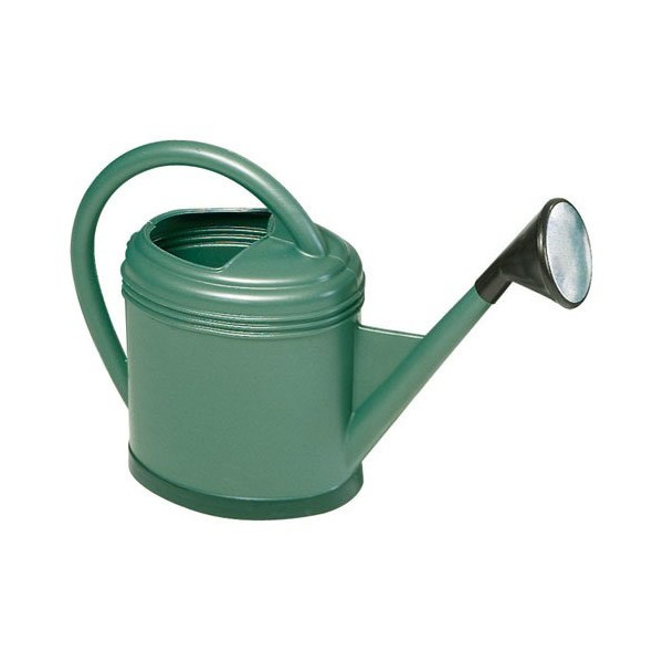 EDA - Arrosoir fort 12l vert métal