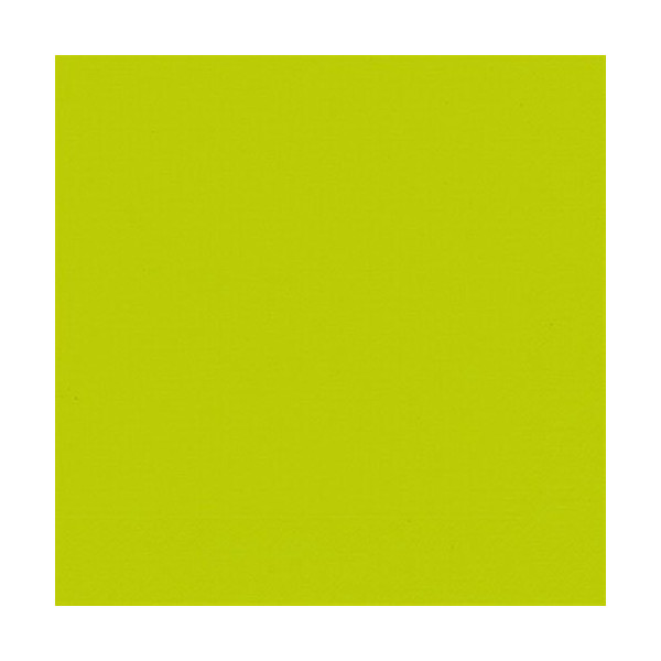 DUNI - Lot 20 serviettes 33 x 33 cm Kiwi