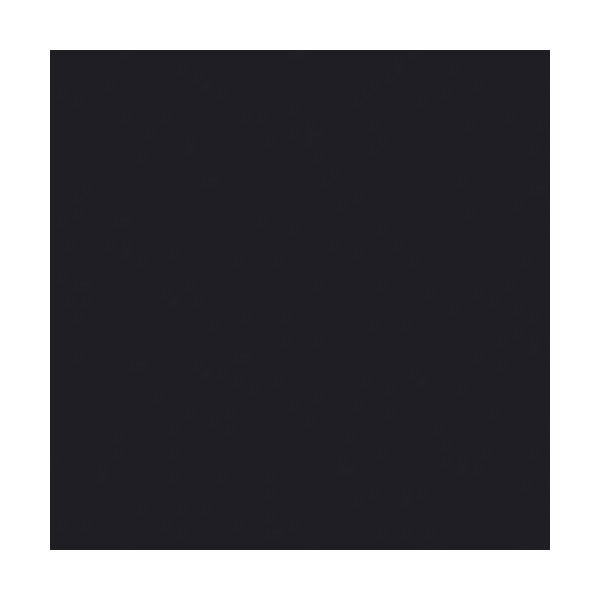 DUNI - Lot 20 serviettes 33 x 33 cm Noir