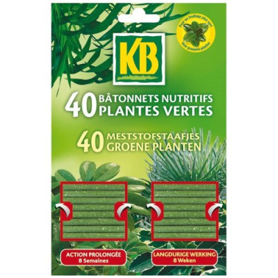 BATONNETS PLANTES VERTES KB X40  /NCA (Vendu par 1)