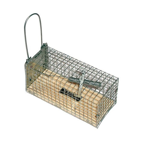 MASY - Nasse à souris 1e socle bois 112