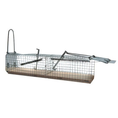 NASSE A SOURIS 2E SOCLE BOIS    113